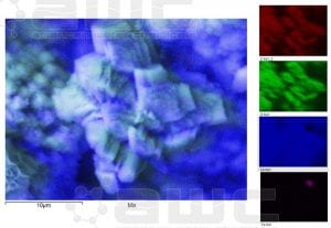 Reverse Osmosis scaling under electron microscope