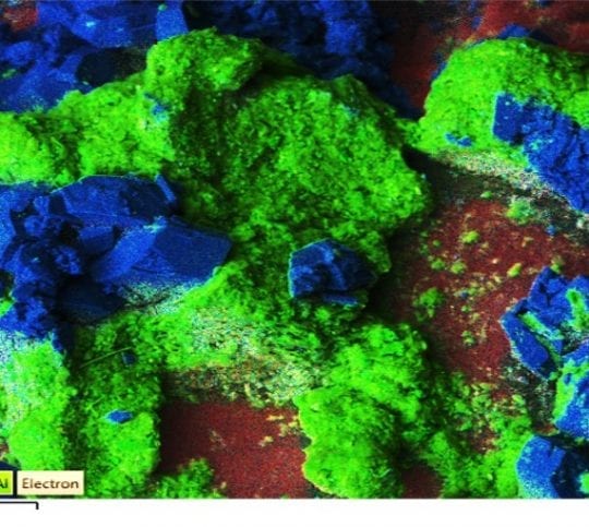 Membrane Autopsy