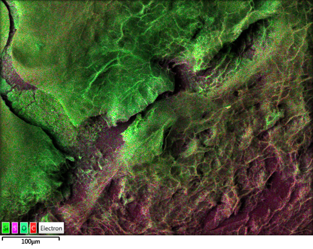 Superimposed Elemental Imaging (SEI®) of polymerized silica organic based matter
