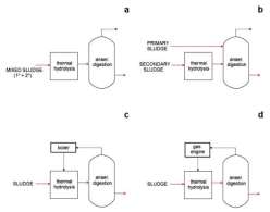 Hydrothermal Hydrolysis Systems