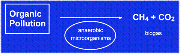 anaerobic system and the Conversion of Organic Pollutants to Biogas by Anaerobic Microorganisms