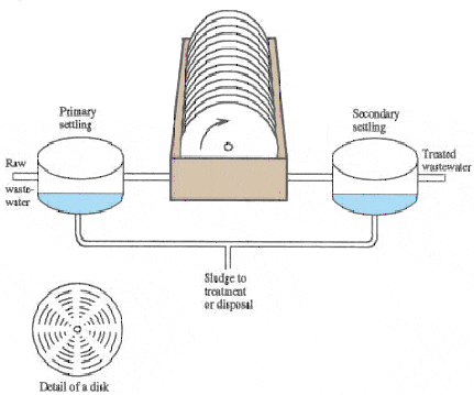 RotatingBiologicalImg2