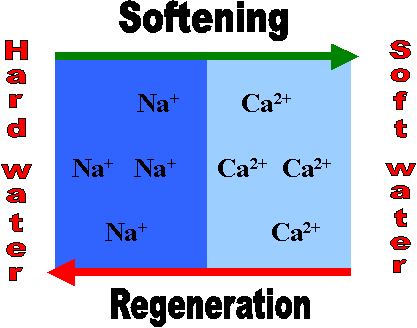 SofteningPlantsImg001